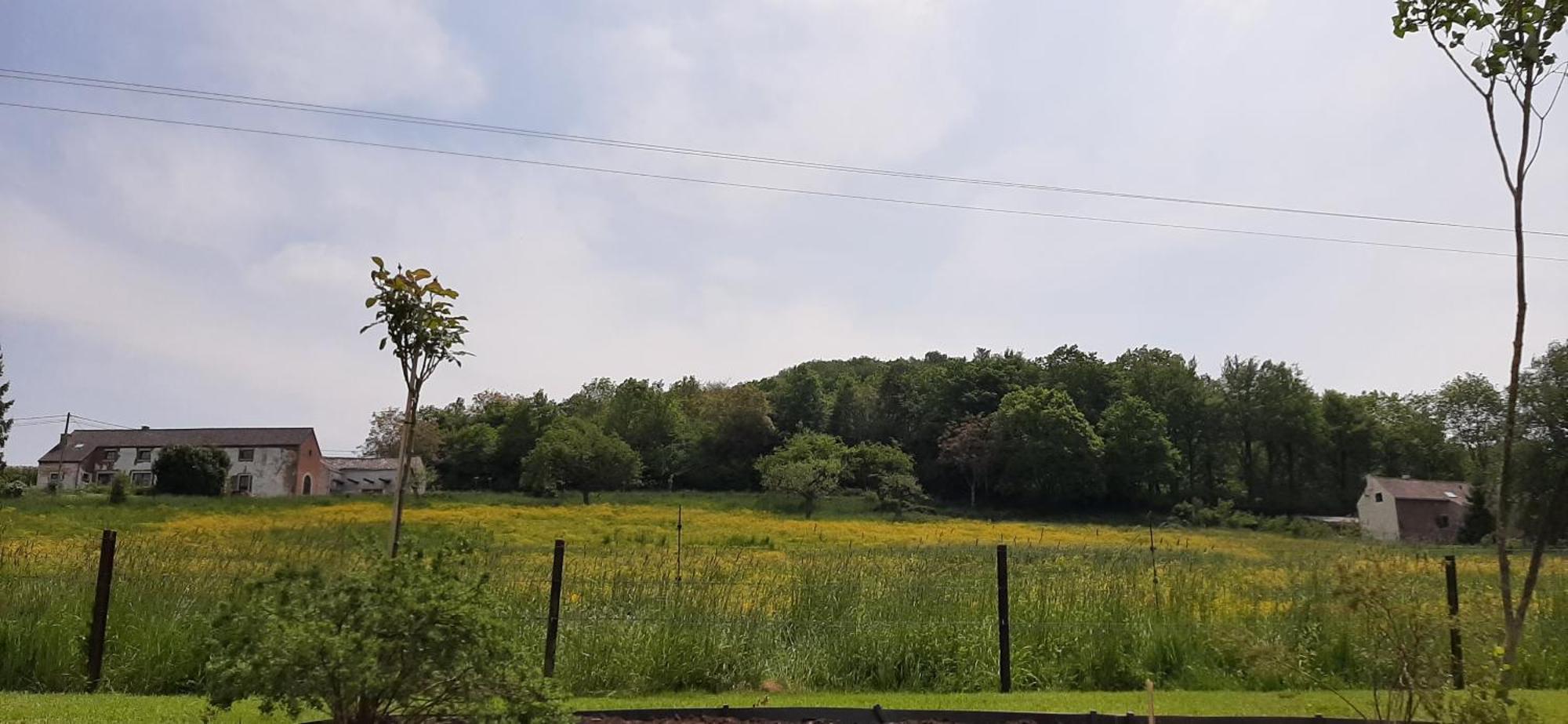 Le Broctia Rose Appartement Namen Buitenkant foto